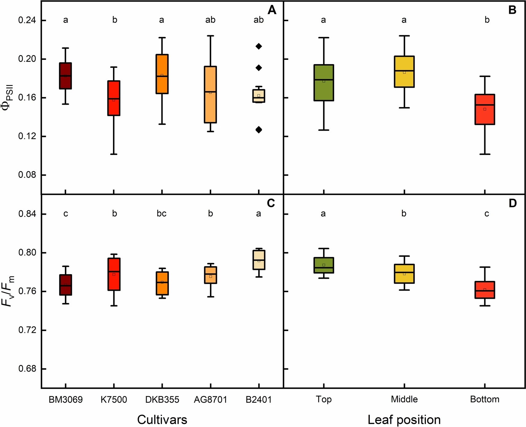 Exploring intra-specific variation in photosynthesis of maize and sorghum