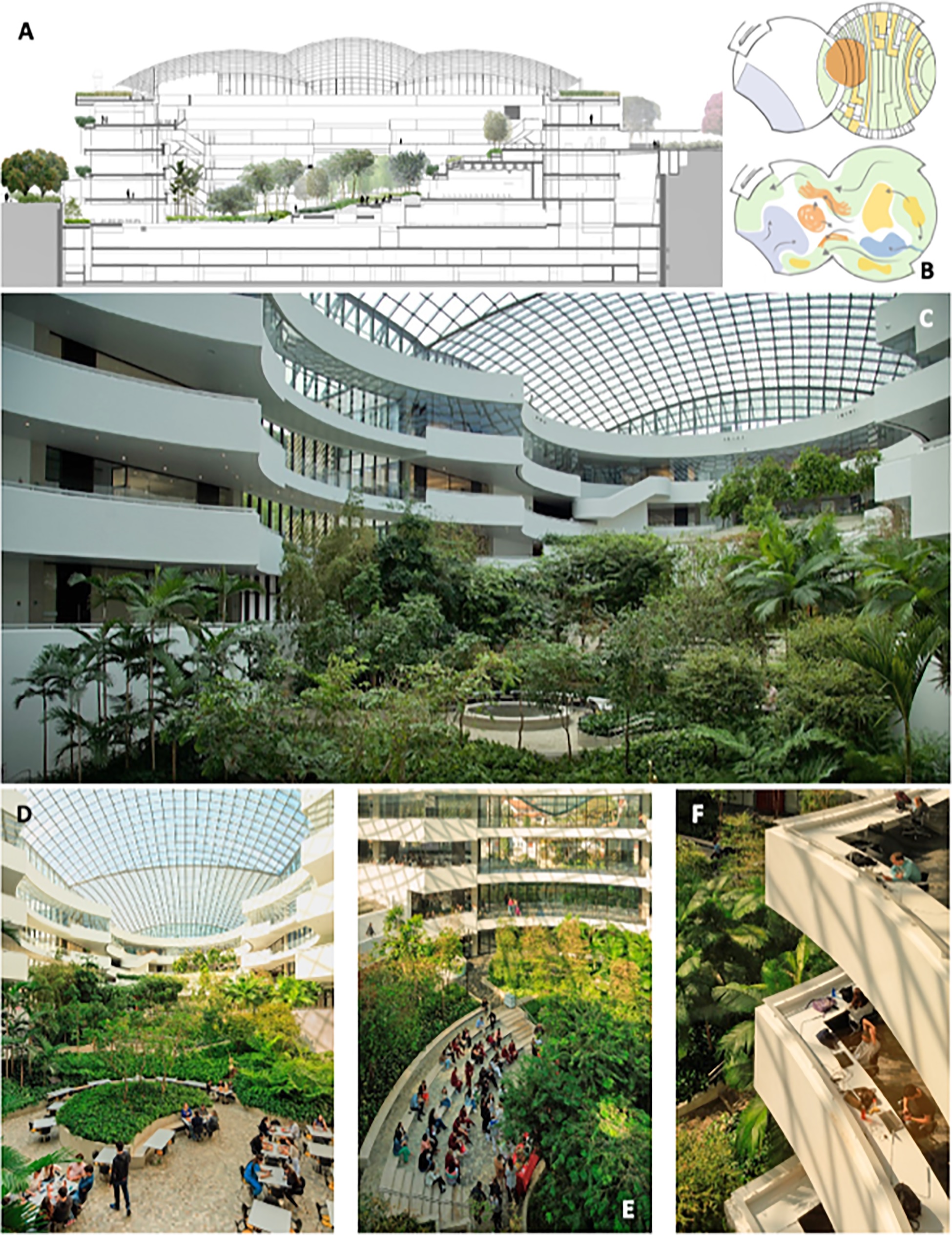 The first large-scale indoor tropical garden with Brazilian native tree species: Challenges and lessons